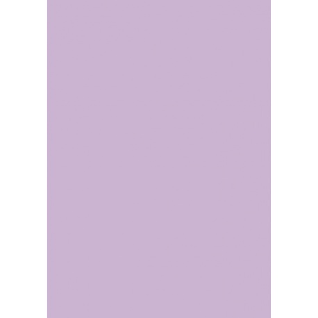 Carton couleur 50x70 300g mauve