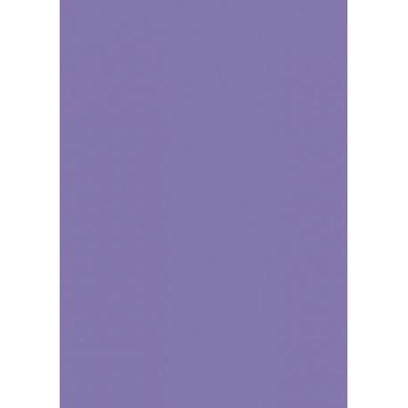 Carton couleur 50x70 300g lilas