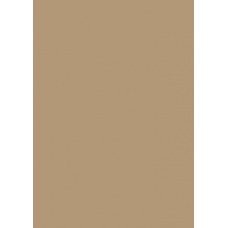 Carton couleur 50x70 300g sable