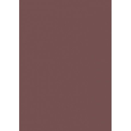 Carton couleur 50x70 300g marron