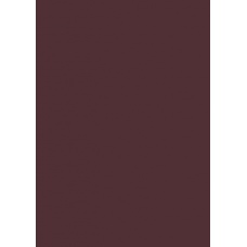 Carton couleur 50x70 300g marron fo