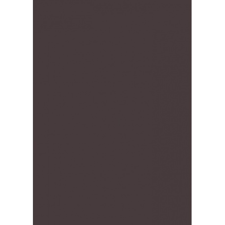 Carton couleur 50x70 300g noir