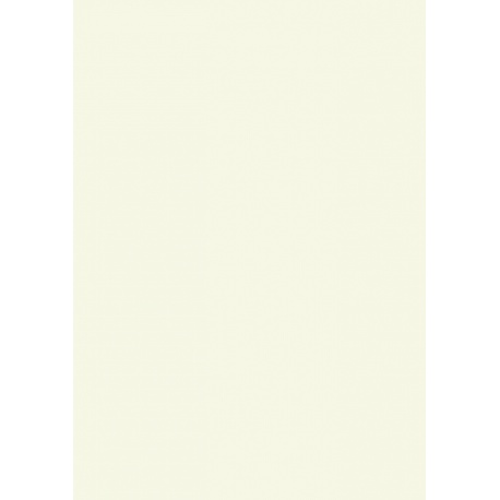 Carton couleur A4 300g blanc perlé
