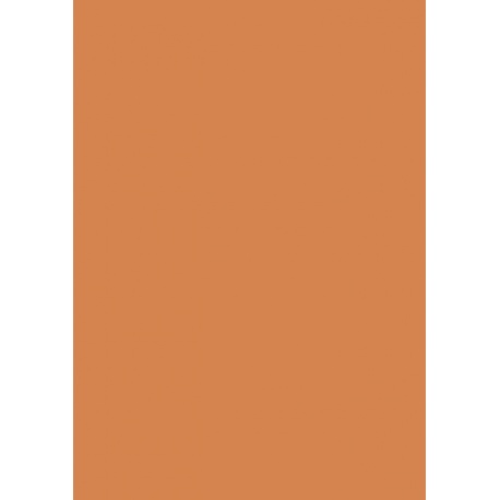 Carton couleur A4 300g orange