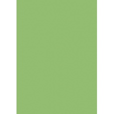 Carton couleur A4 300g vert gazon