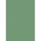 Carton couleur A4 300g vert feuill