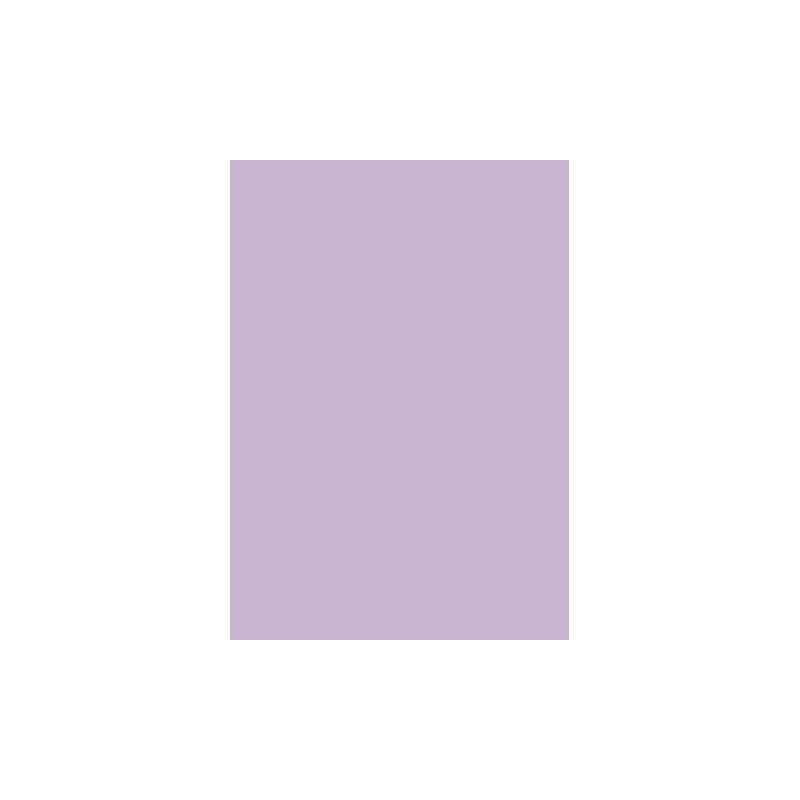 Carton couleur  A4 300g mauve  p le