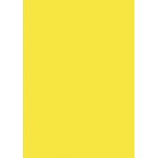 Carton couleur 50x70 300g jaune sol