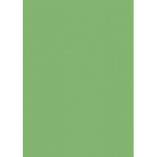 Carton couleur 50x70 300g vert moye