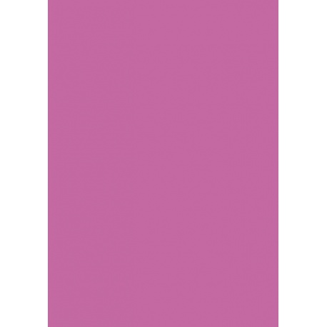 Carton couleur 70x100 300g rose vif