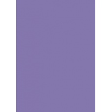 Carton couleur 70x100 300g lilas