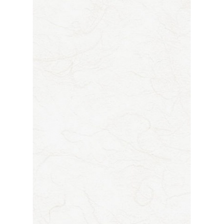 Papier fibre végét.50x70cm 25g blanc