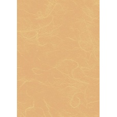 Papier végétal 50x70cm 25g beige