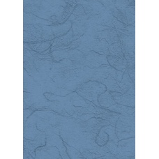 Papier végétal 50x70cm 25g bleu mo