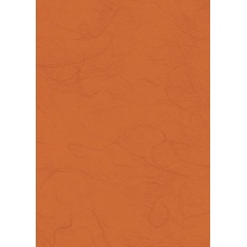 Papier végétal 50x70cm 25g orange