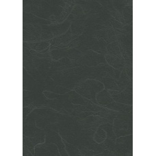 Papier végétal 50x70cm 25g noir