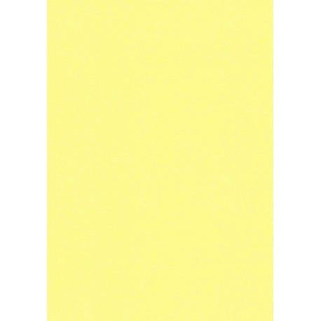 Carton multi-us50x70 220g citron