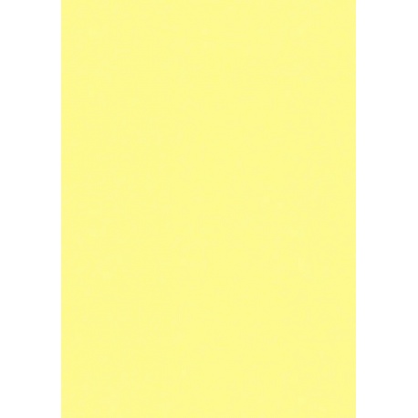 Carton multi-usA4 220g jaune citr.