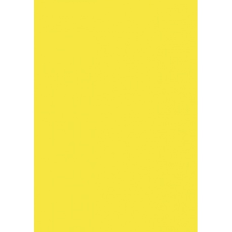 Papier couleur 50x70 130gEAN jaune