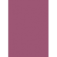 Papier couleur 50x70 130gEAN bord