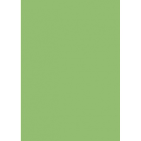 Papier couleur A4 130gEAN vert gaz