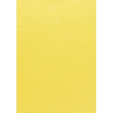 Papier mûrier 55x40cm jaune