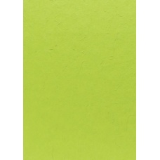 Papier mûrier 55x40cm vert gazon