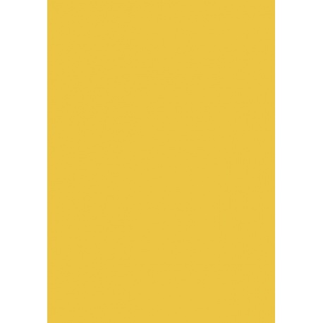 Carton couleur 50x70 300gEAN mangue