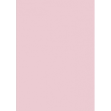 Carton couleur 50x70 300gEAN ros cl