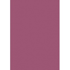 Carton couleur 50x70 300gEAN bord