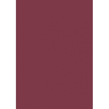 Carton couleur 50x70 300gEAN vin