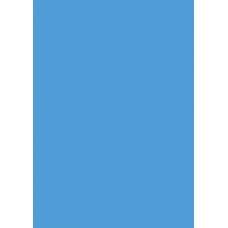 Carton couleur 50x70 300gEAN ble ci