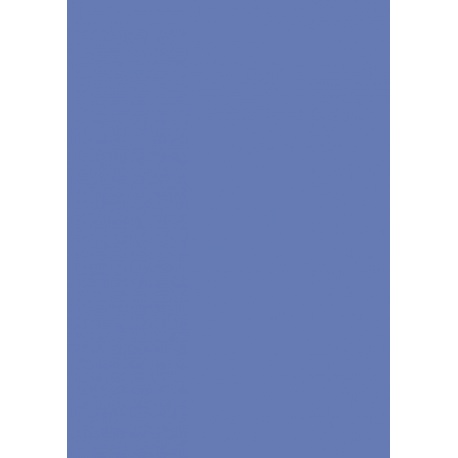 Carton couleur 50x70 300gEAN ble mo