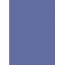 Carton couleur 50x70 300gEAN ble fo