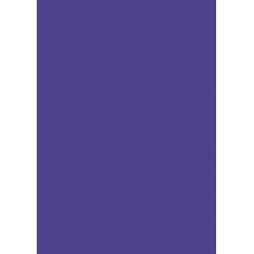 Carton couleur 50x70 300gEAN bleroi