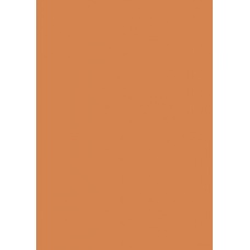 Carton couleur 50x70 300gEAN orange