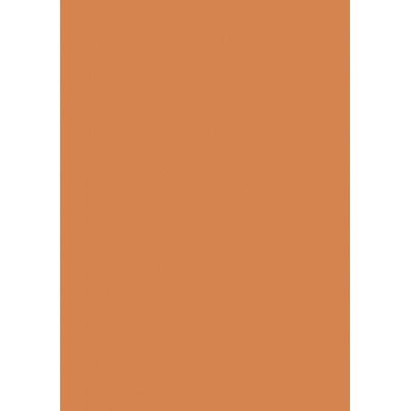 Carton couleur 50x70 300gEAN orange
