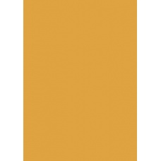 Carton couleur 50x70 300gEAN mandar