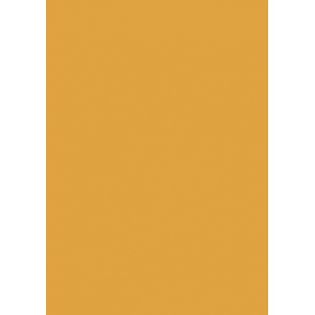 Carton couleur 50x70 300gEAN mandar