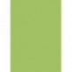 Carton couleur 50x70 300gEAN vert