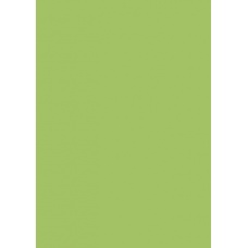 Carton couleur 50x70 300gEAN vert