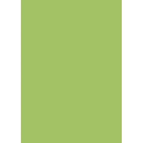 Carton couleur 50x70 300gEAN vert