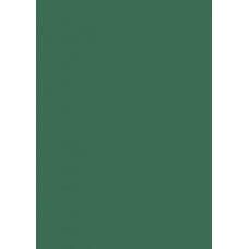 Carton couleur 50x70 300gEAN ver fo