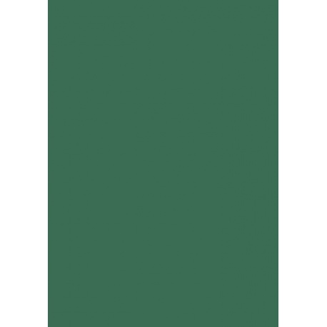 Carton couleur 50x70 300gEAN ver fo