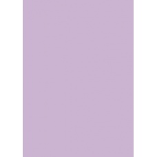 Carton couleur 50x70 300gEAN mauve