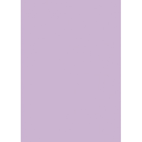 Carton couleur 50x70 300gEAN mauve