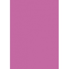 Carton couleur 50x70 300gEAN rose