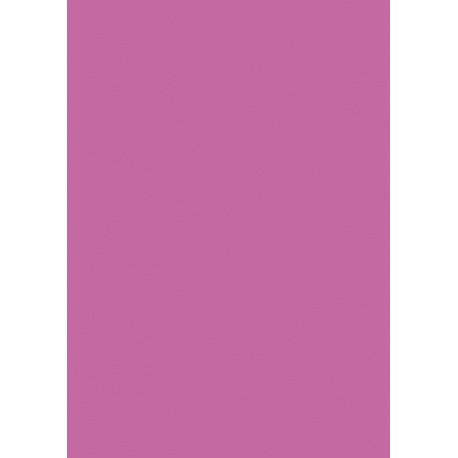 Carton couleur 50x70 300gEAN rose