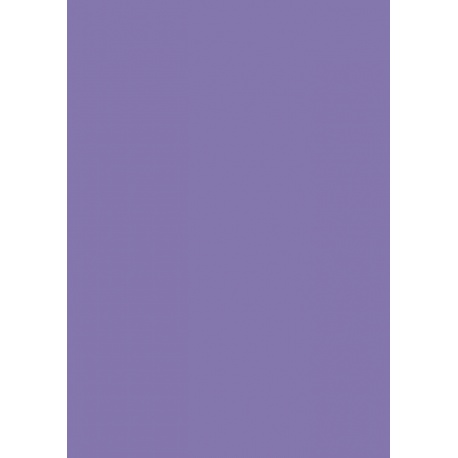 Carton couleur 50x70 300gEAN lilas