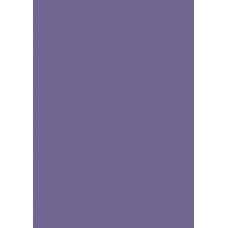 Carton couleur 50x70 300gEAN violet